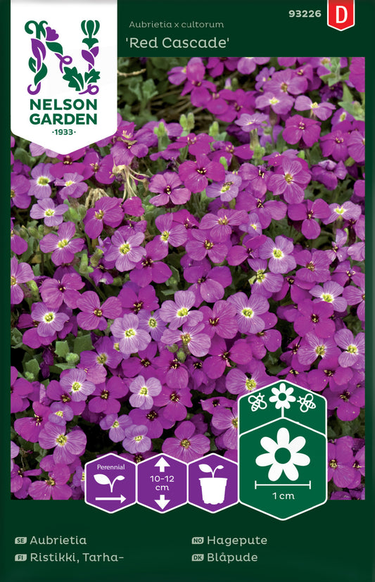 Aubrietia, Red Cascade