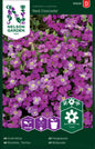 Aubrietia, Red Cascade
