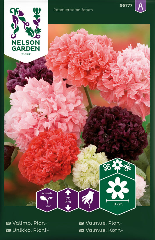 Vallmo, Pion-, bl färger