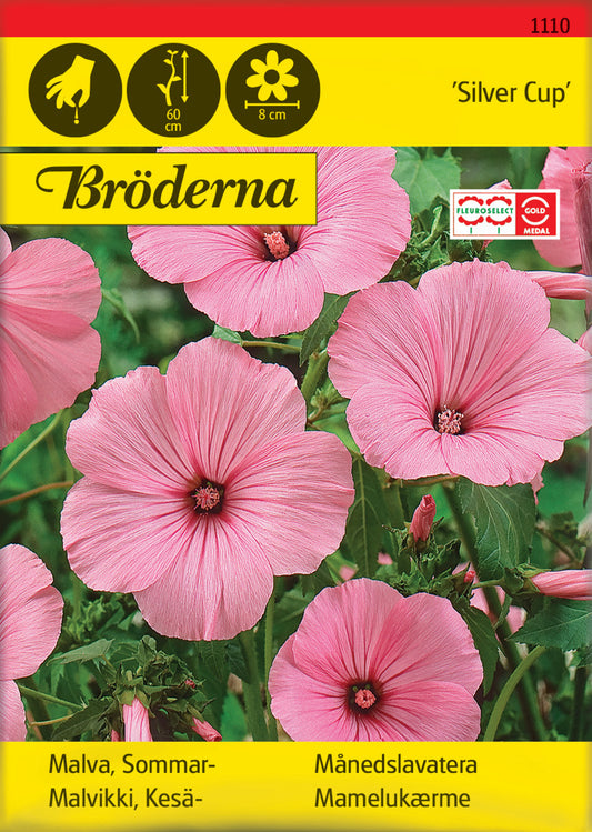 Malva, Sommar-, Silver Cup, rosa