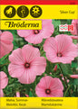 Malva, Sommar-, Silver Cup, rosa