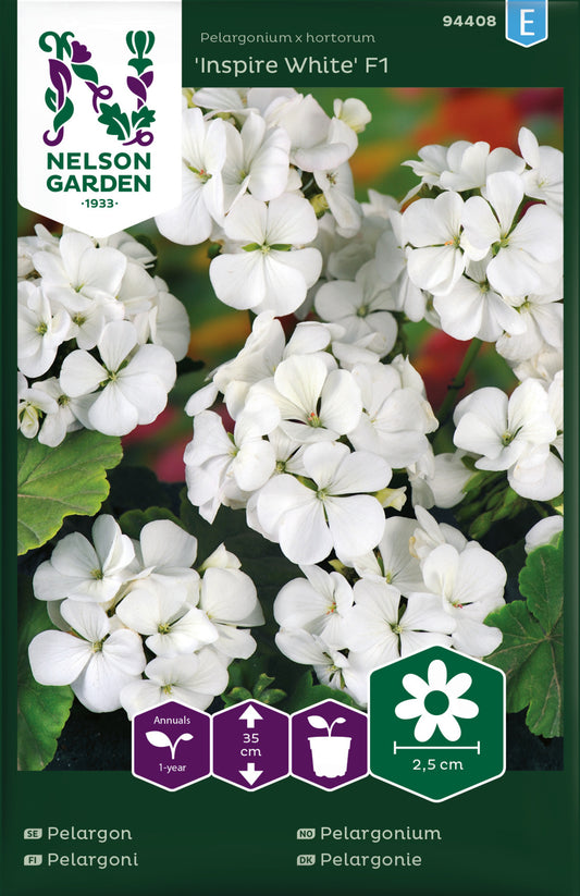 Pelargon, Inspire White F1, vit
