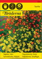 Tagetes, Liten, Starfire mixed