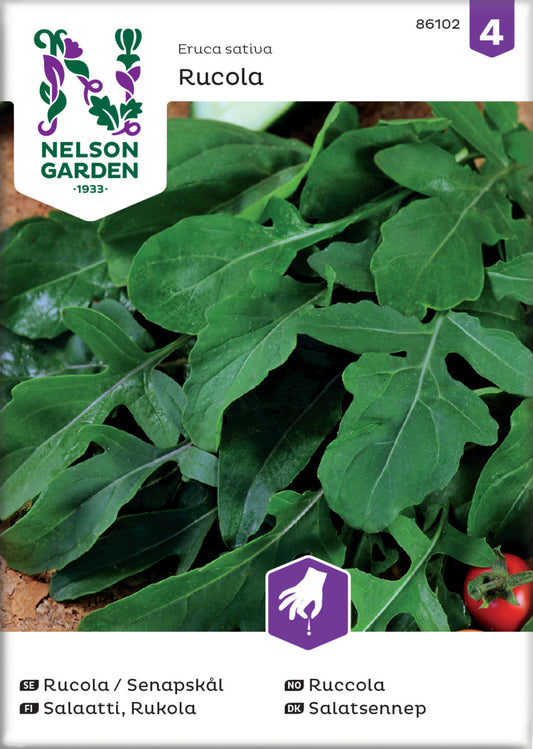 Rucola / SenapsKål