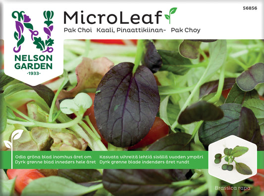 Micro Leaf pak choi