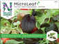 Micro Leaf pak choi