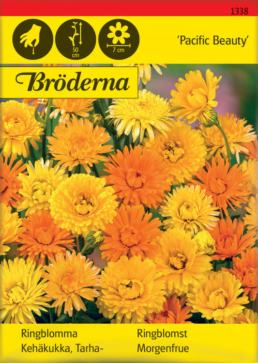 Ringblomma, Pacific Beauty