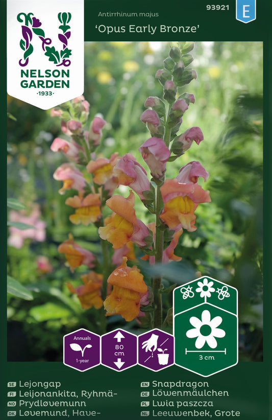 Lejongap, Opus Early Bronze F1
