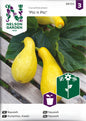 Squash, Pic n Pic