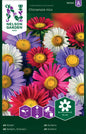 Aster, Enkel, bl färger
