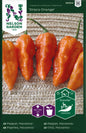 Havannapeppar, Draco Orange