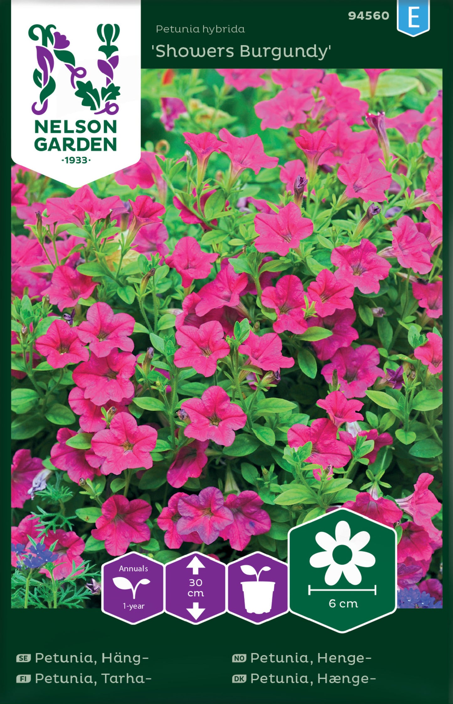 Petunia, Häng-, Showers Burgundy