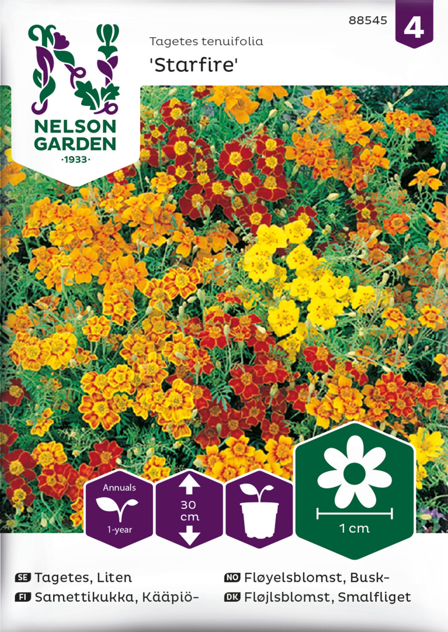 Tagetes, Liten, Starfire mixed