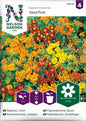 Tagetes, Liten, Starfire mixed