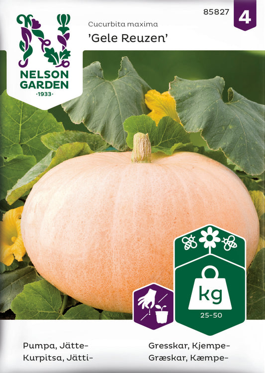 Pumpa, Jätte-, Gele Reuzen