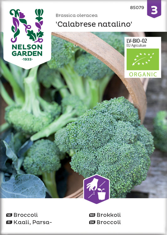 Broccoli, Calabrese natalino, Organic