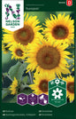 Solros, Sunspot, låg