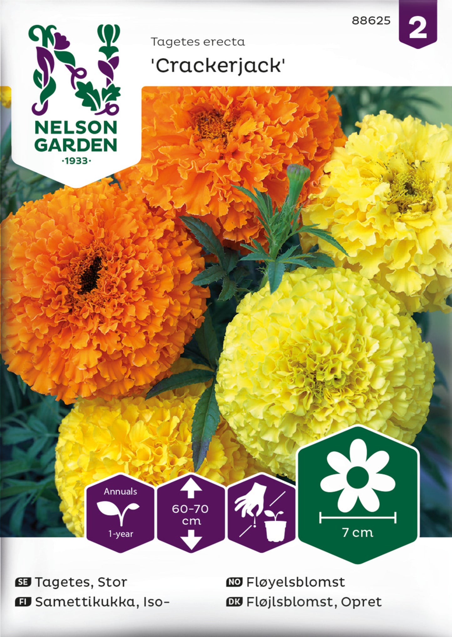 Tagetes, Stor-, Crackerjack
