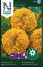 Tagetes, Stor-, First Lady F1