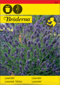Lavendel