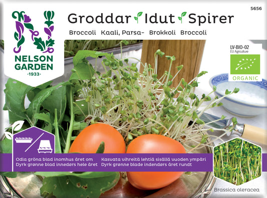 Groddar broccoli Organic