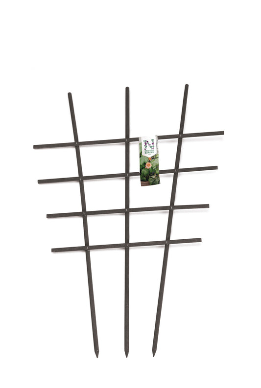 Krukspaljé trä svart 60cm