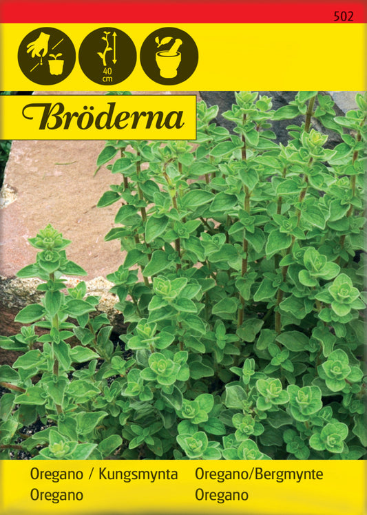 Oregano, Kungsmynta