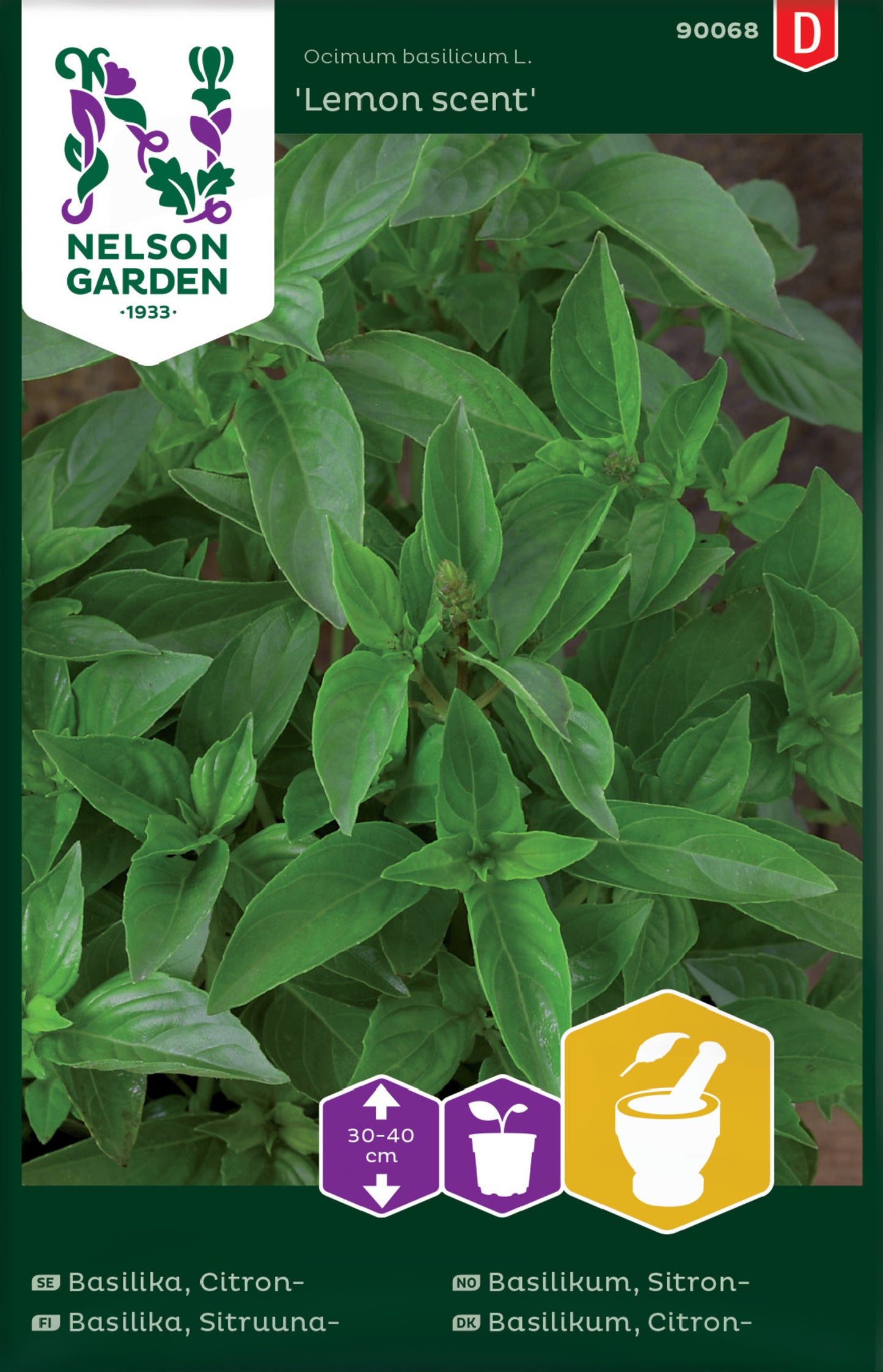 Basilika, Citron-, Lemon scent