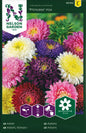 Aster, Princess, bl färger