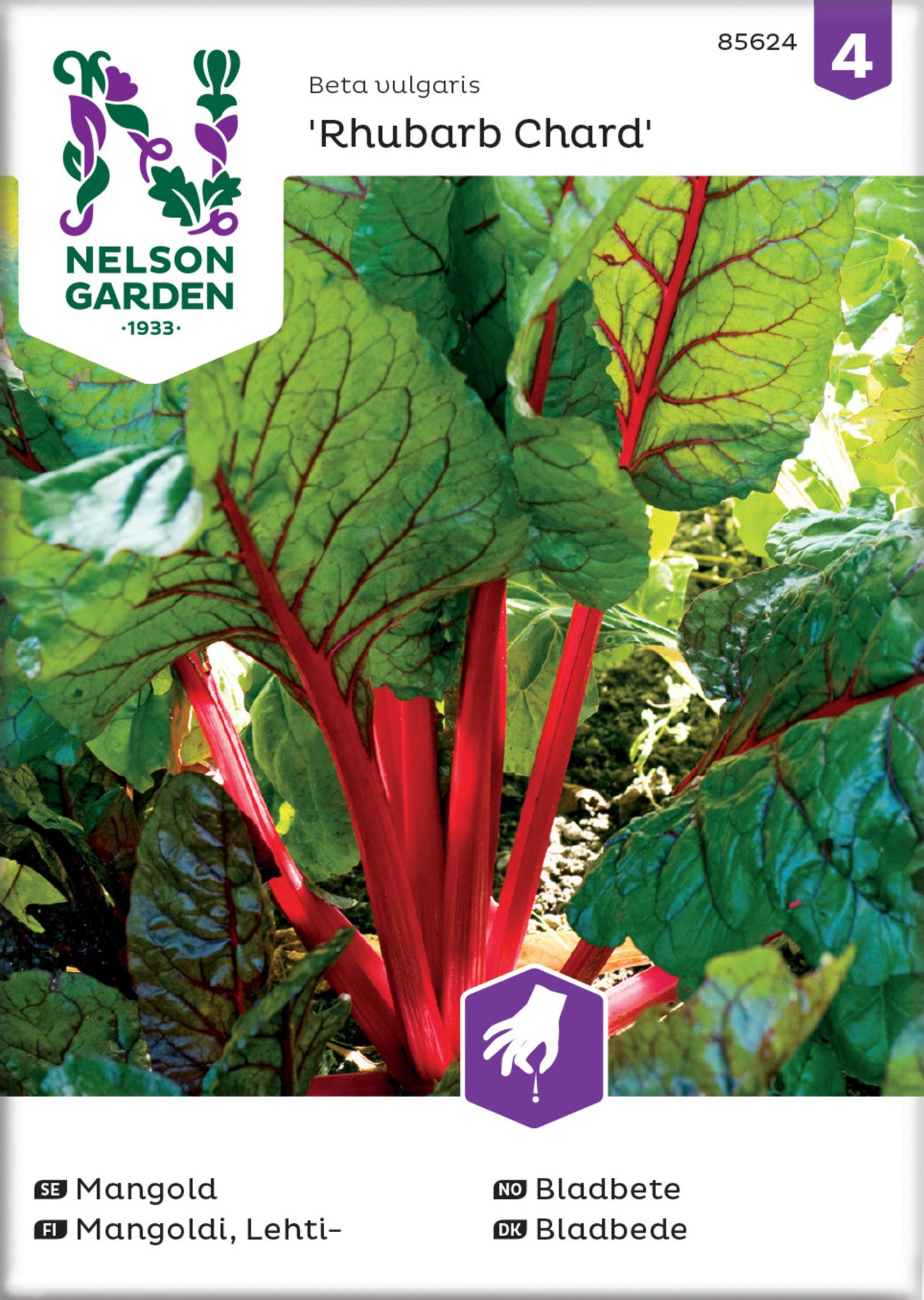 Mangold, Rubarb Chard, röd