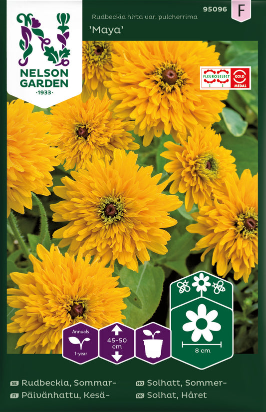 Rudbeckia, Sommar-, Maya