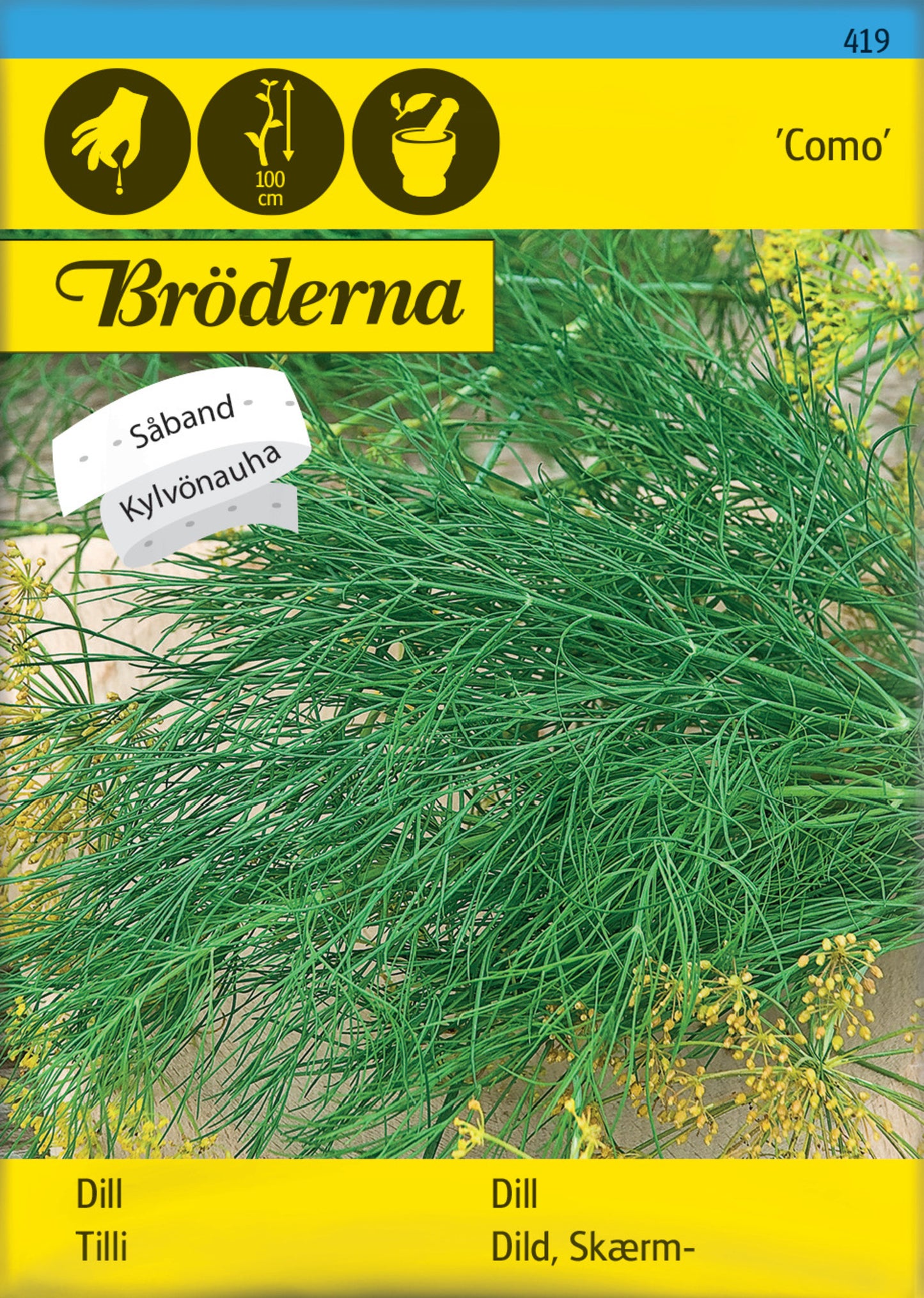 Dill, Vanlig, Como, Såband
