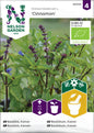 Basilika, Kanel-, Cinnamon, Organic