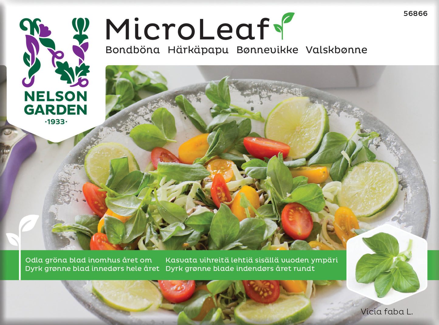 Micro Leaf bondböna