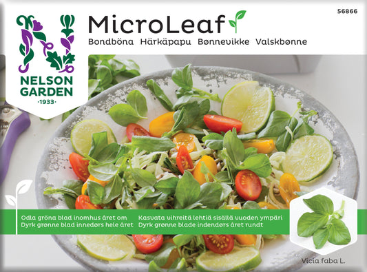 Micro Leaf bondböna