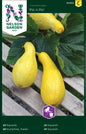 Squash, Pic n Pic, gul