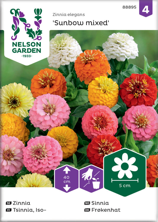 Zinnia, Sunbow, bl färger
