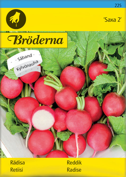 Rädisa, Saxa 2, rund, Såband