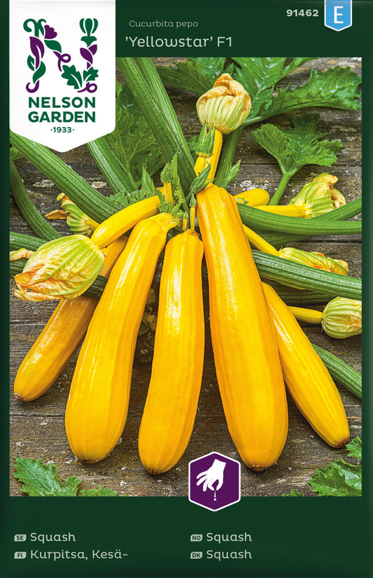 Squash, Yellowstar F1