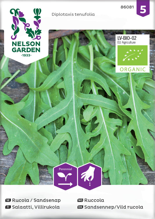 Rucola / Sandsenap, Organic