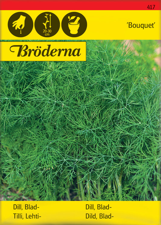 Dill, Blad-, Bouquet