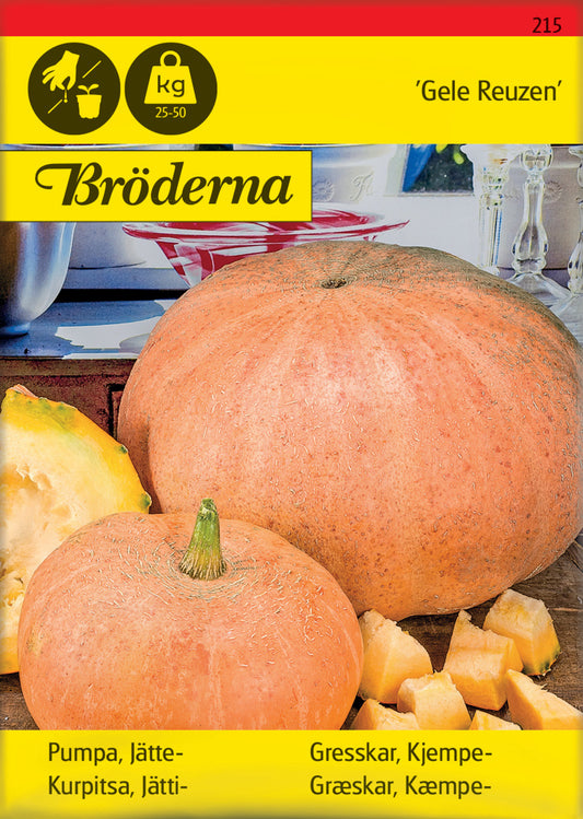 Pumpa, Jätte-, Gele Reuzen