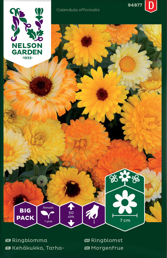 Ringblomma, bl färger, Big Pack