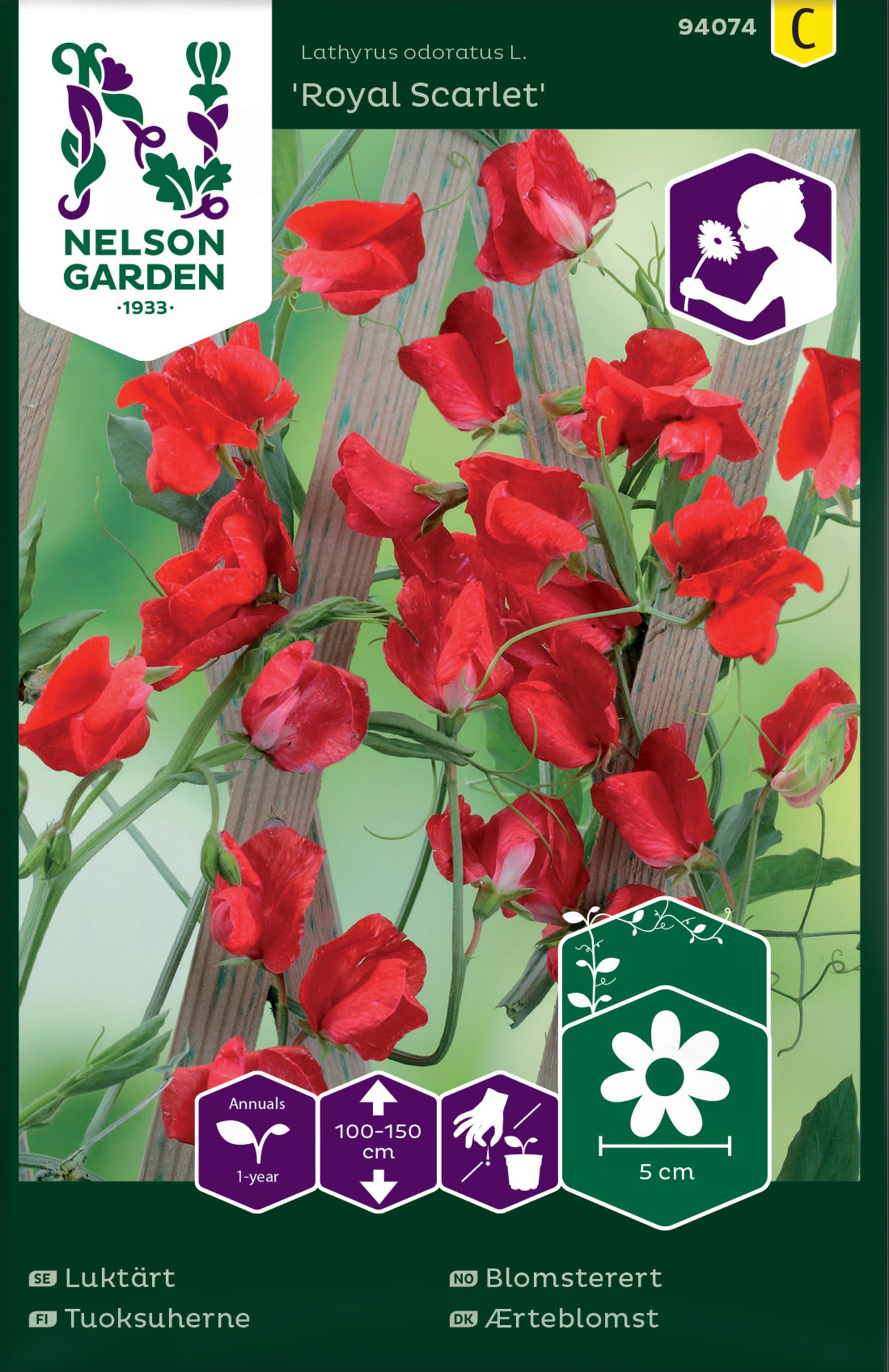 Luktärt, Royal Scarlet, röd