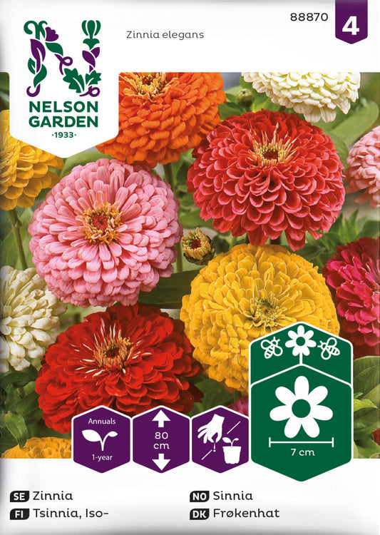 Zinnia, Hög, bl färger
