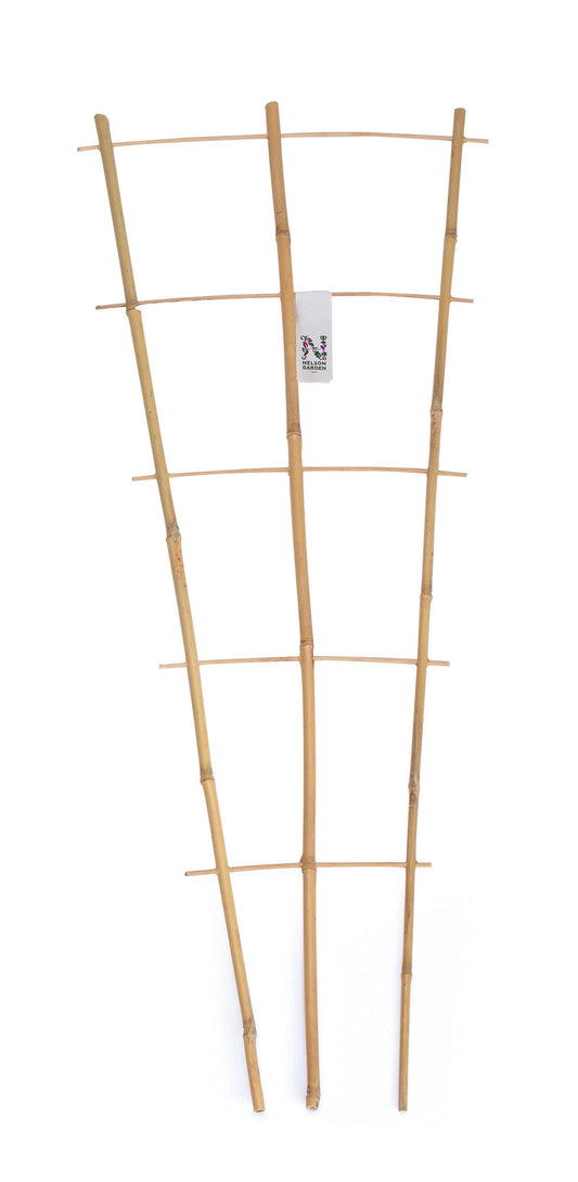 Krukspaljé bambu 90cm