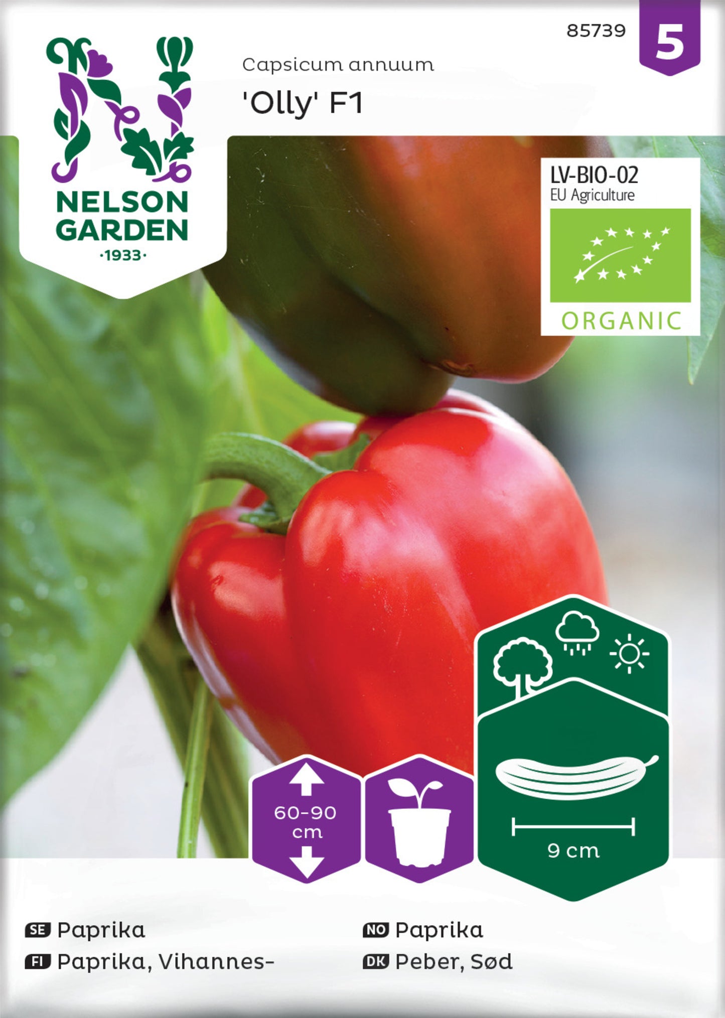 Paprika, Olly F1, Organic