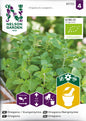 Oregano, Kungsmynta, Organic