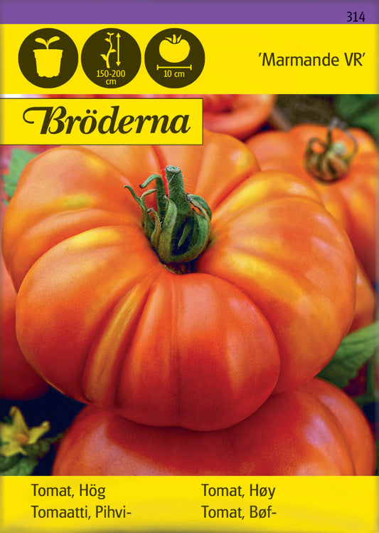 Tomat, Hög, Marmande VR