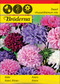 Aster,Dvärg, bl färger